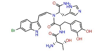Halocyamine B